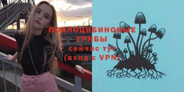 стаф Абинск