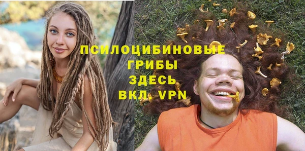 стаф Абинск