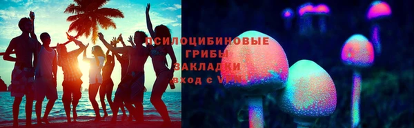 стаф Абинск