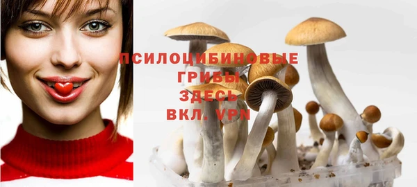герыч Абаза