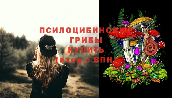 стаф Абинск