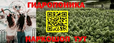 мяу мяу мука Лесосибирск