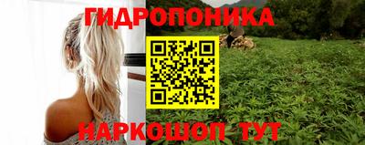 мяу мяу мука Лесосибирск