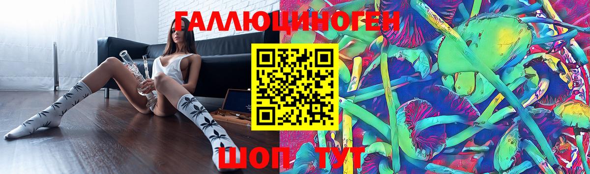 Псилоцибиновые грибы GOLDEN TEACHER Ефремов